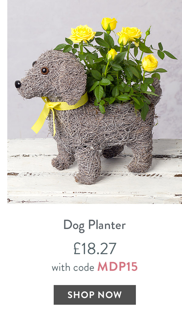 Dog Planter - only &pound;18.27 with code