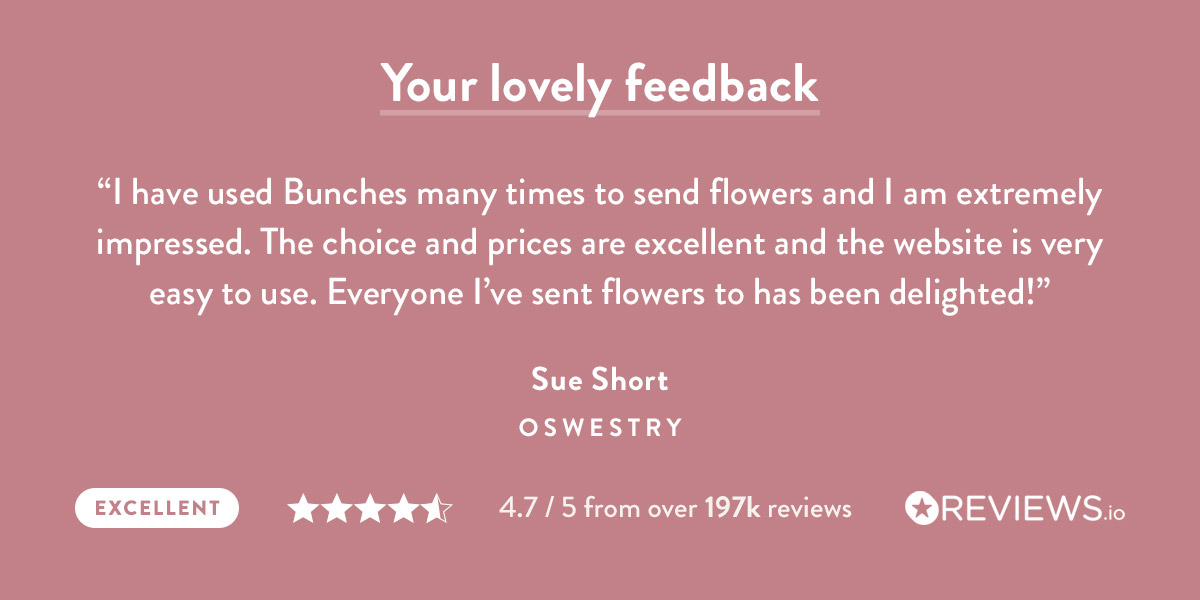 4.7 out of 5 stars