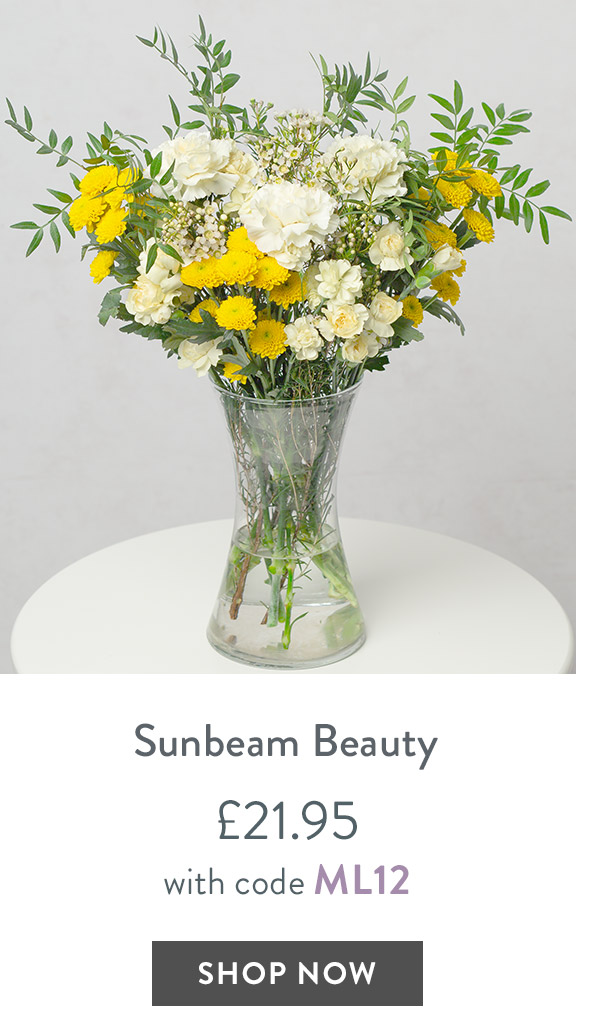 Sunbeam Beauty - only &pound;21.95 with code