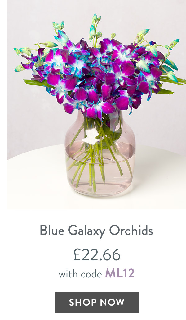 Blue Galaxy Orchid Letterbox - only &pound;22.66 with code
