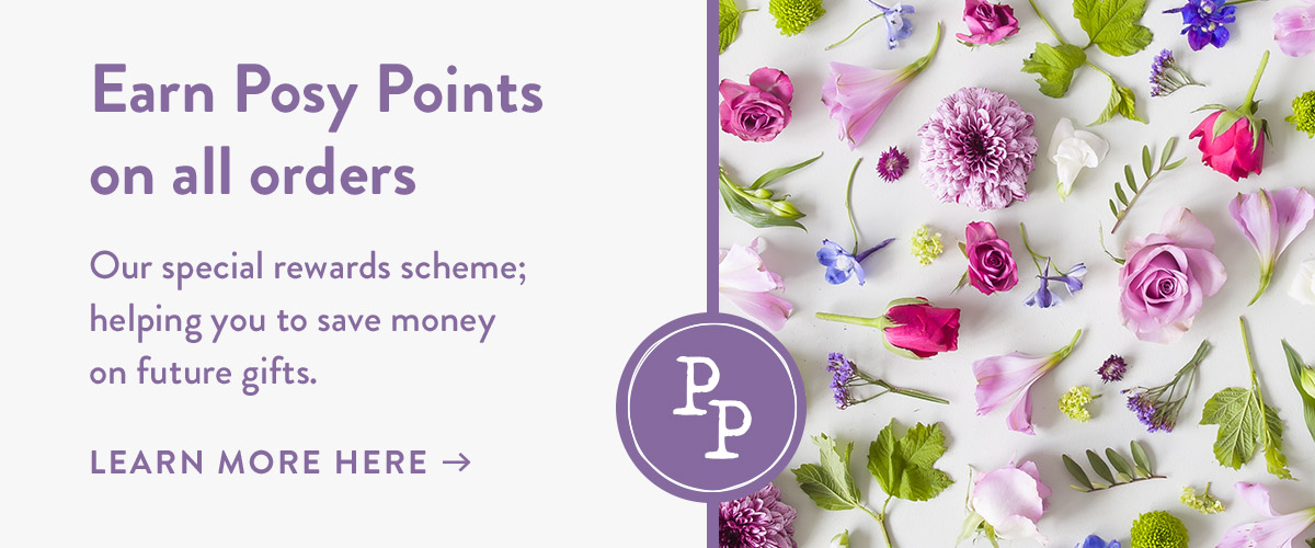 Earn Posy Points on all orders