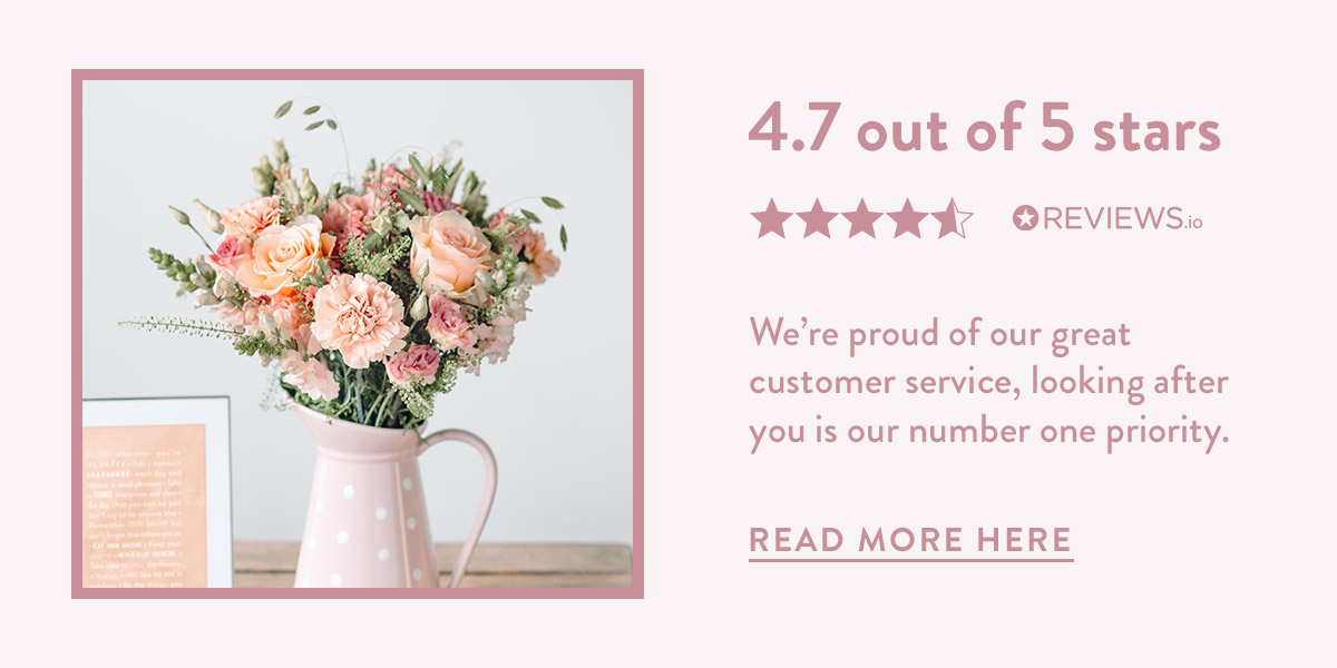 4.7 out of 5 stars