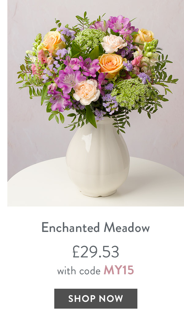 Enchanted Meadow - only &pound;29.53 with code