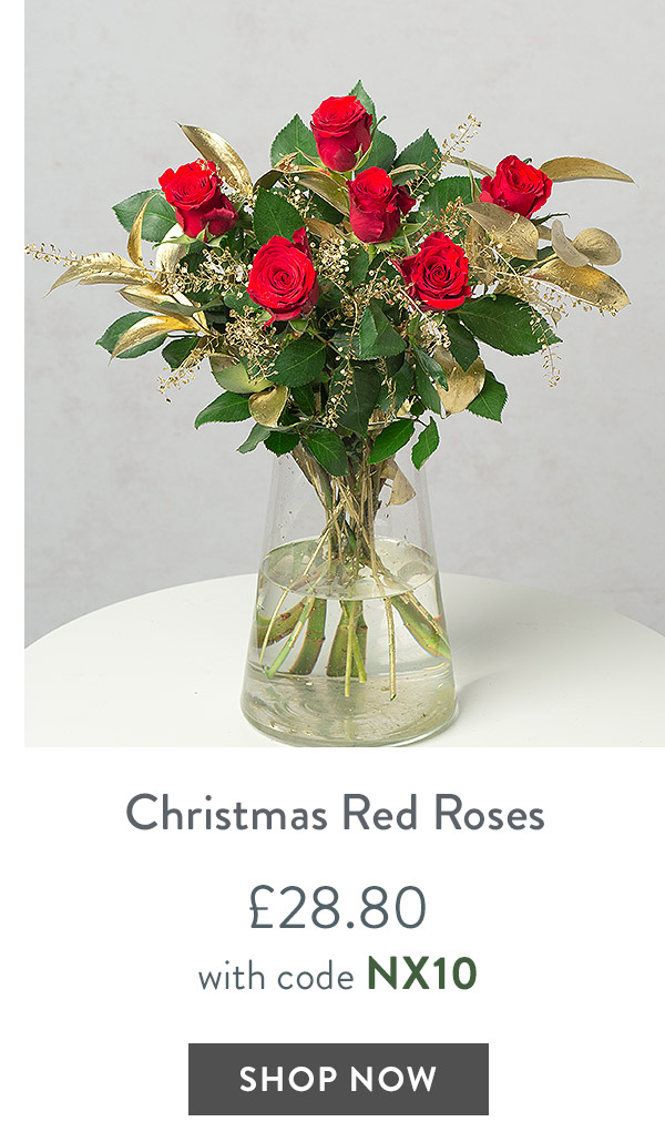 Christmas Red Roses - only &pound;28.80 delivered