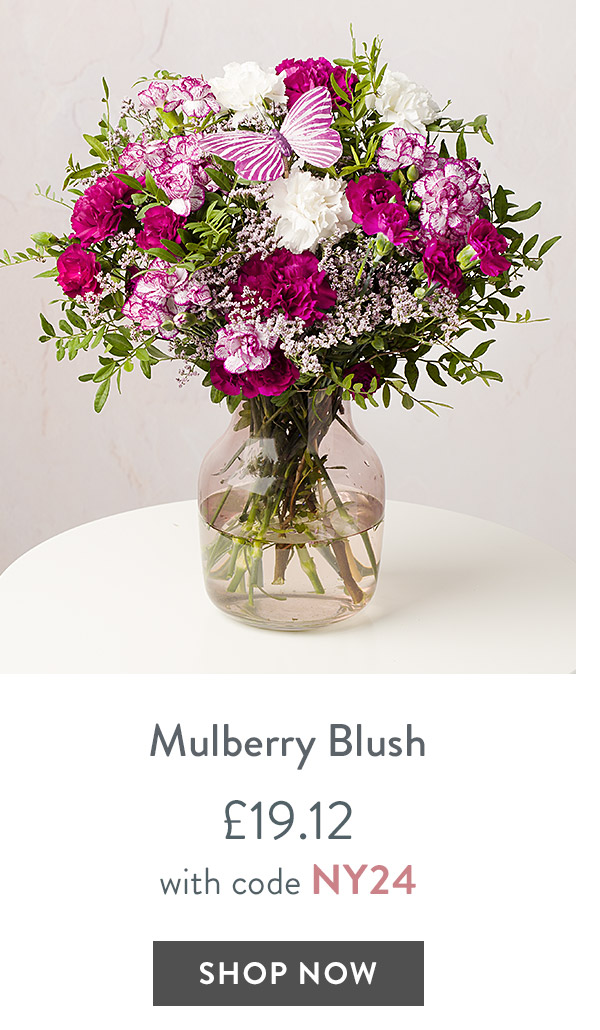 Mulberry Blush - only &pound;19.12 with code