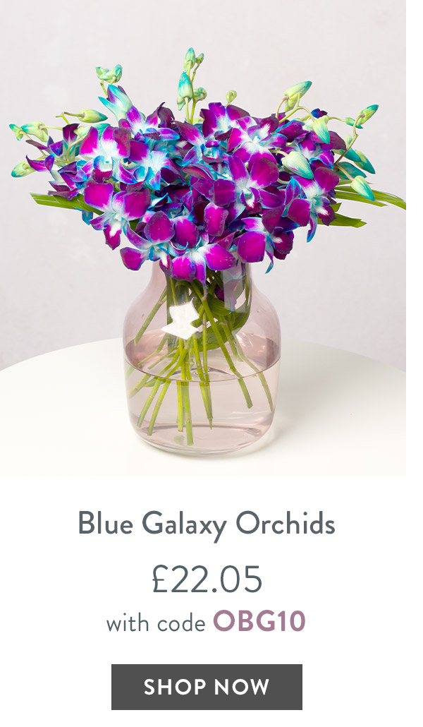 Blue Galaxy Orchids - only &pound;22.05 with code