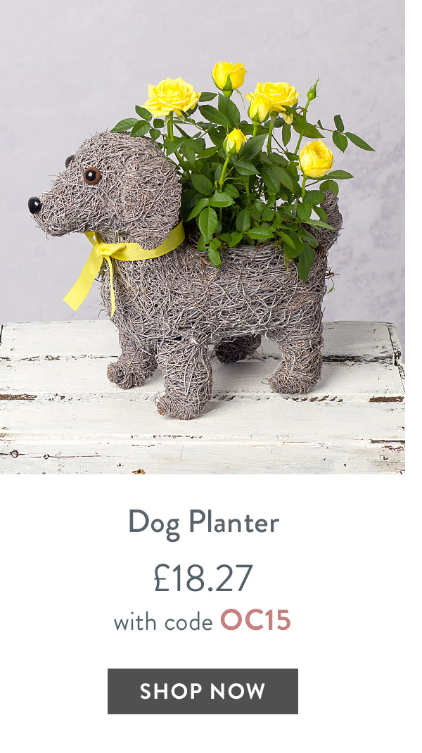 Dog Planter - only &pound;18.27 with code