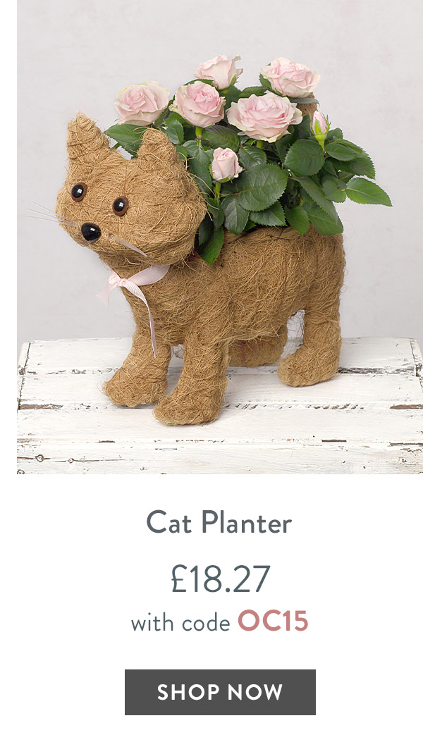 Cat Planter - only &pound;18.27 with code