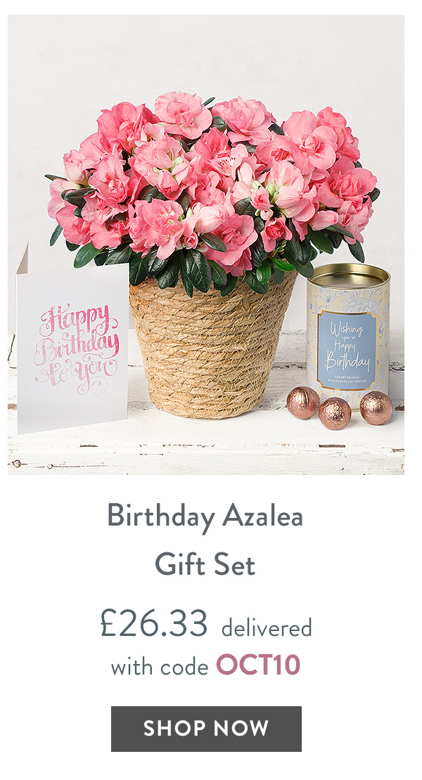 Birthday Azalea Gift Set - only &pound;26.33 delivered