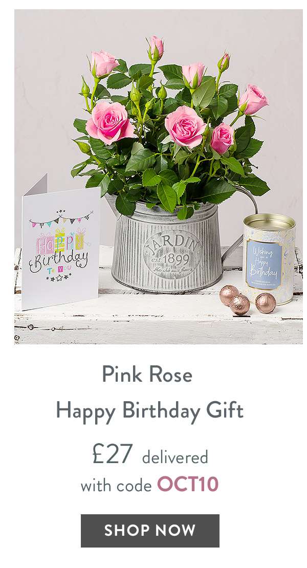 Pink Rose Happy Birthday Gift - only &pound;27 delivered