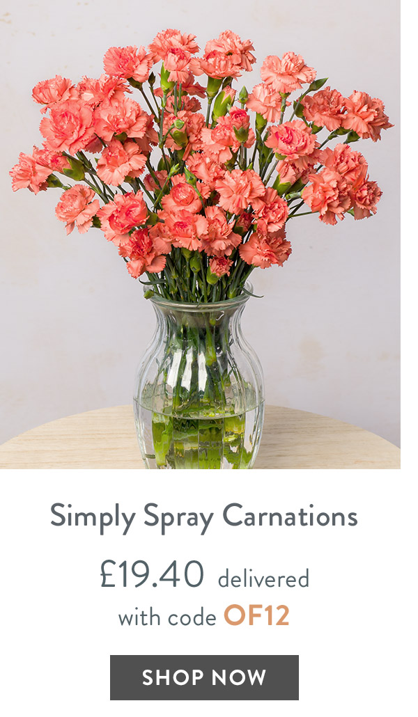 Simply Spray Carnations - only &pound;19.40 delivered