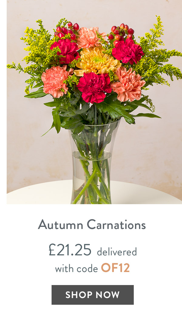 Autumn Carnations - only &pound;21.25 delivered
