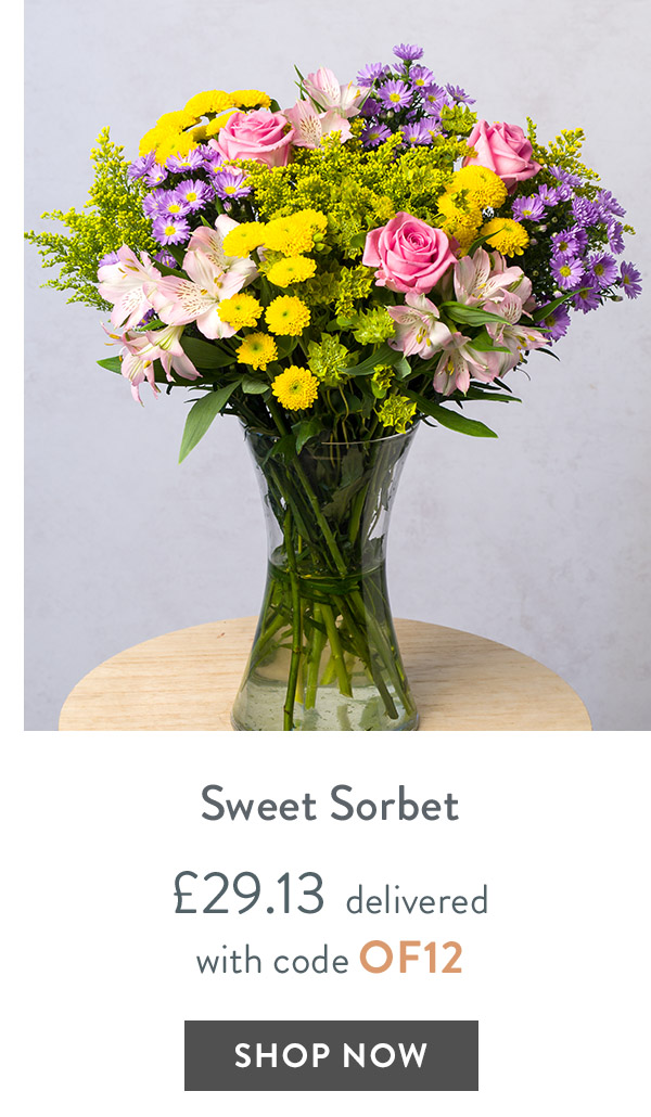 Sweet Sorbet - only &pound;29.13 delivered