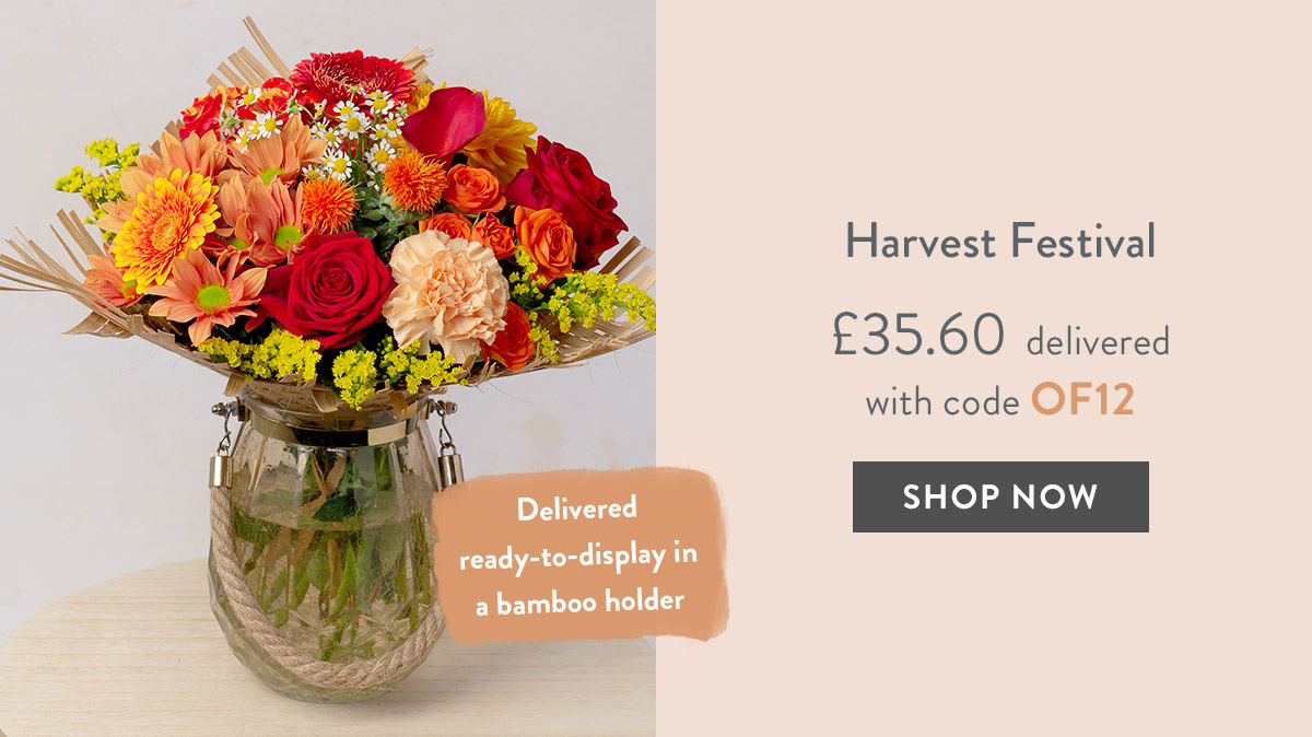 Harvest Festival - only &pound;35.60 delivered