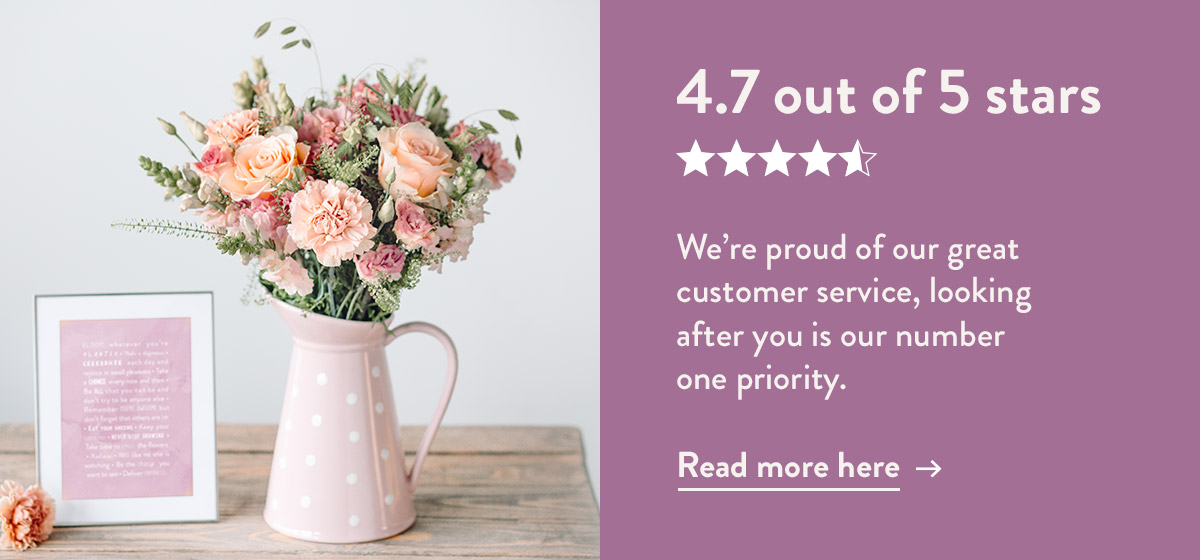 4.7 out of 5 stars