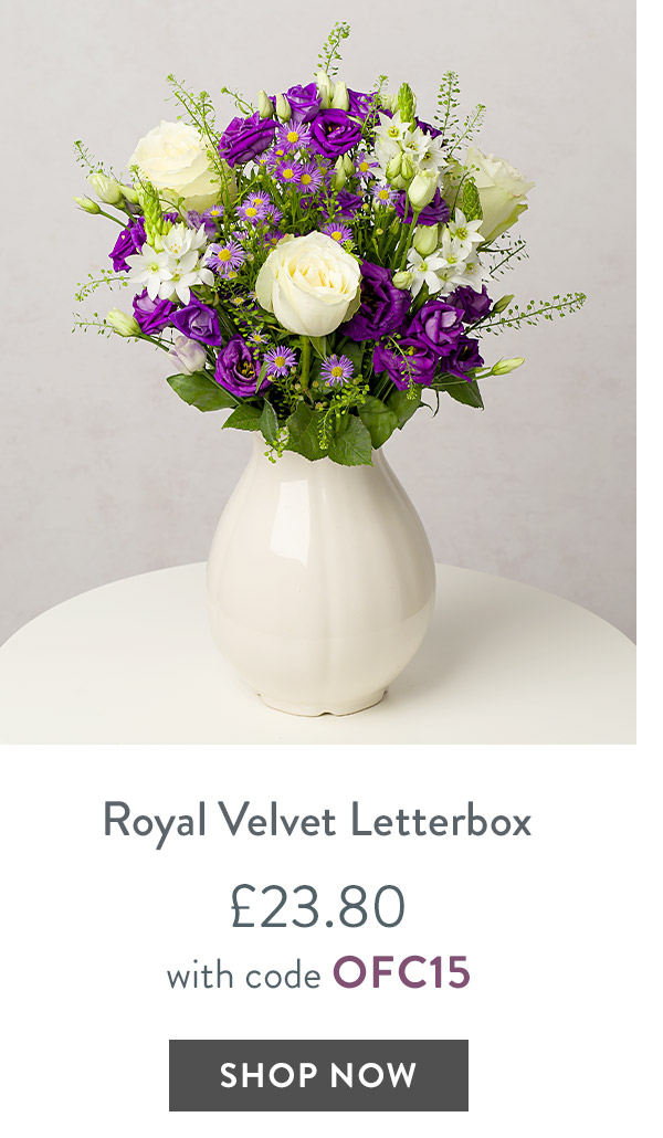 Royal Velvet - only &pound;23.80 with code