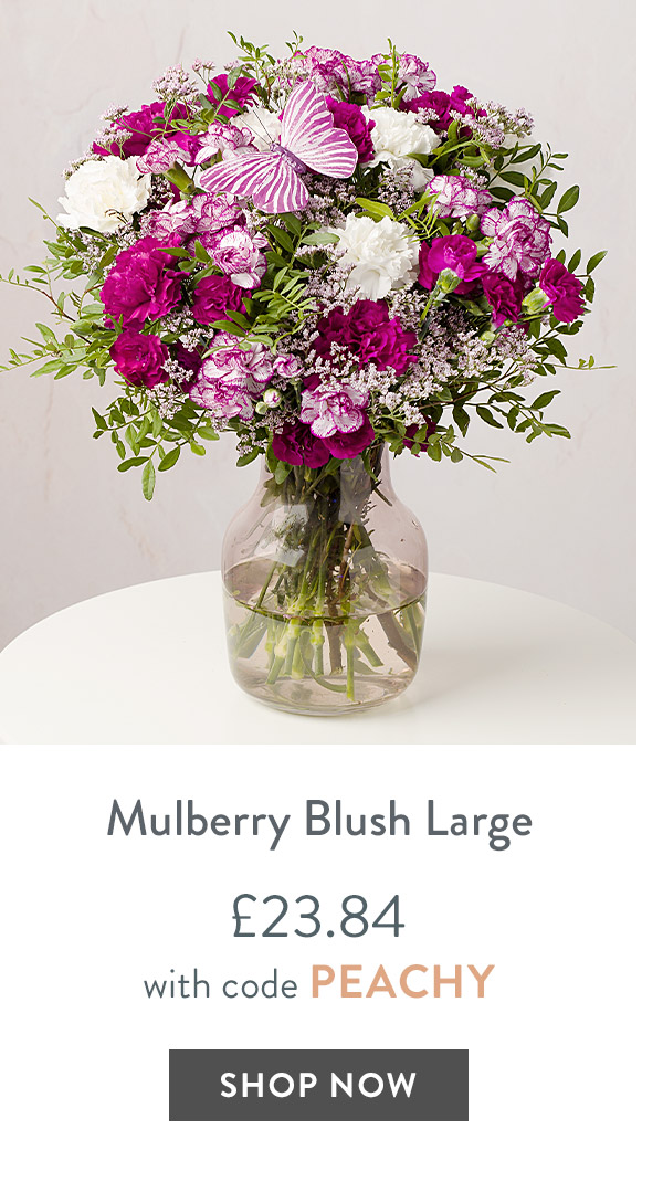 Mulberry Blush Large - only &pound;23.84 with code