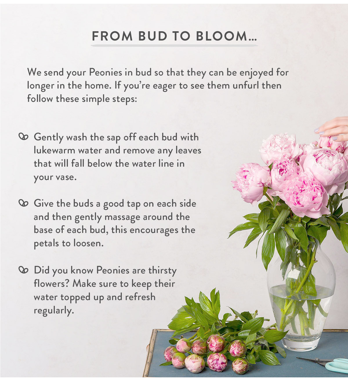 From bud to bloom