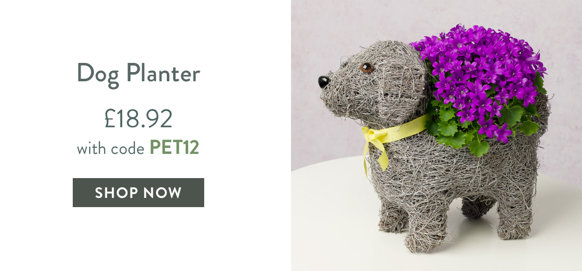 Dog Planter - only &pound;18.92
