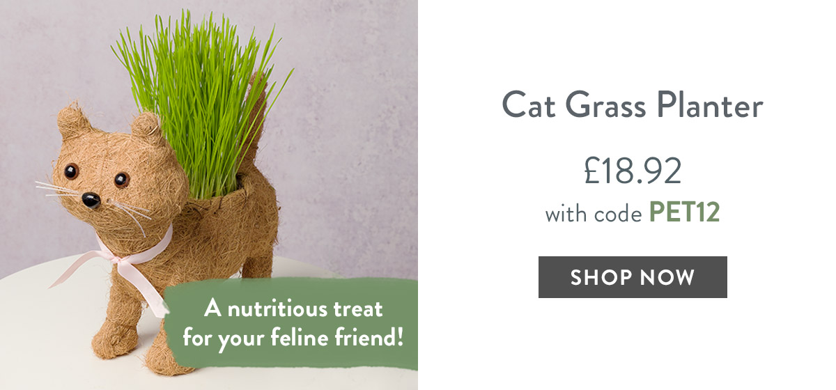 Cat Planter - only &pound;18.92
