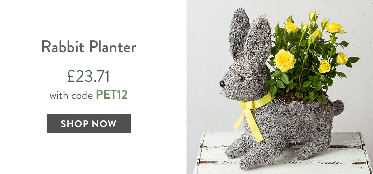 Rabbit Planter - only &pound;23.71