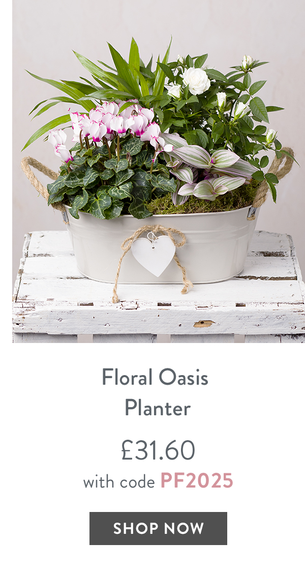 Floral Oasis Planter - only &pound;31.60 with code
