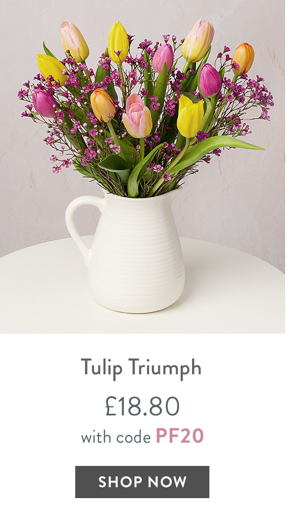 Tulip Triumph - only &pound;18.80 with code