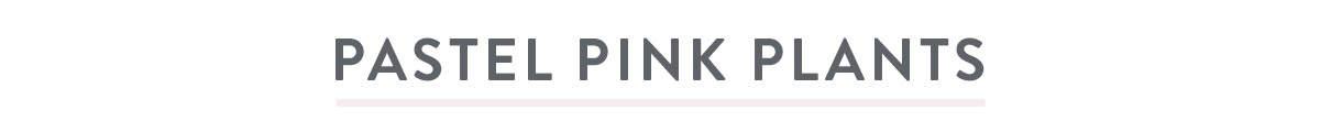 Pastel Pink Plants