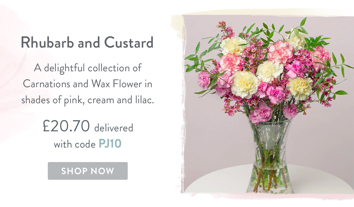 Rhubard and Custard - only &pound;20.70 delivered