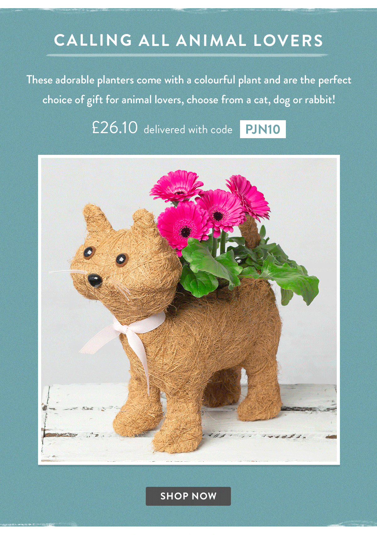 Animal Planters - Only &pound;26.10 delivered