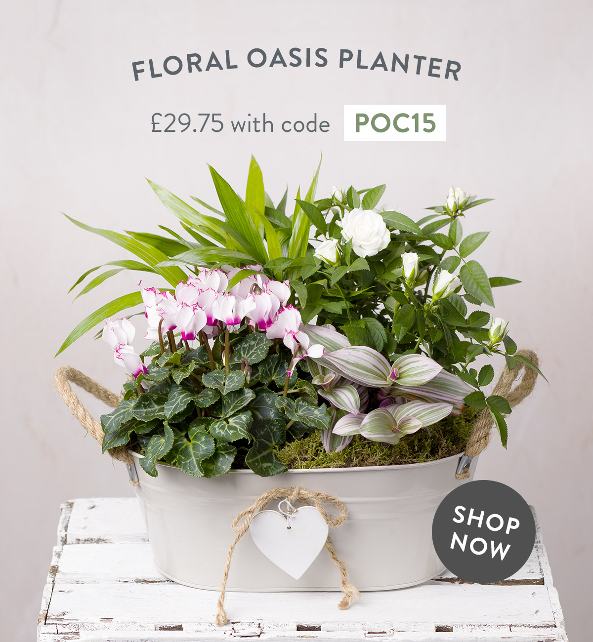 Floral Oasis Planter - only &pound;29.75 with code