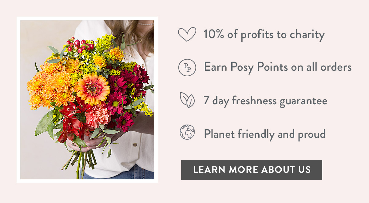 Why choose Bunches