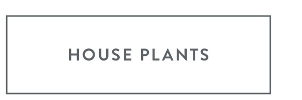 House Plants