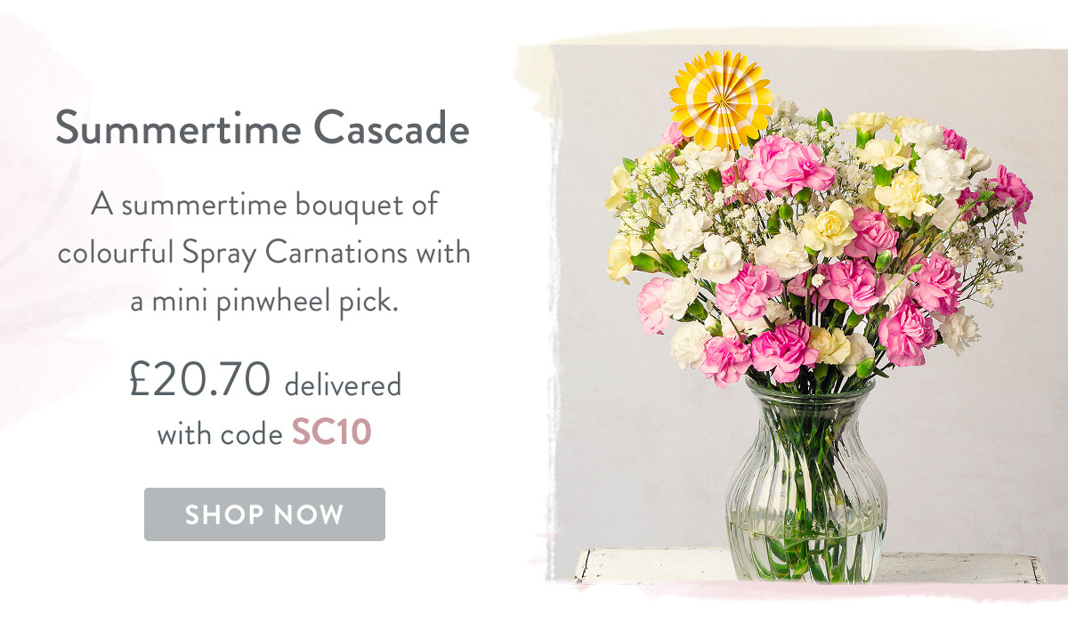 Summertime Cascade - only &pound;20.70 delivered
