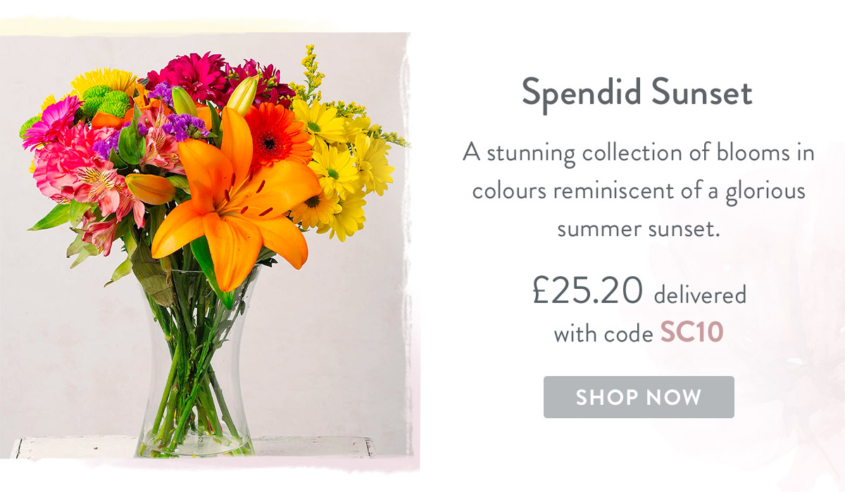 Splendid Sunset - only &pound;25.20 delivered