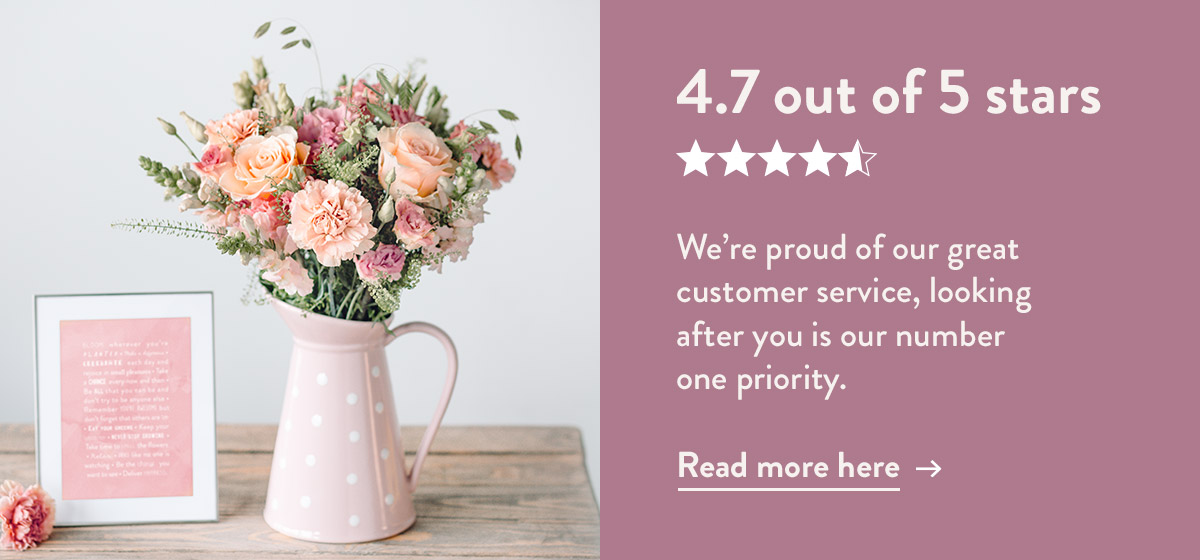 4.7 out of 5 stars