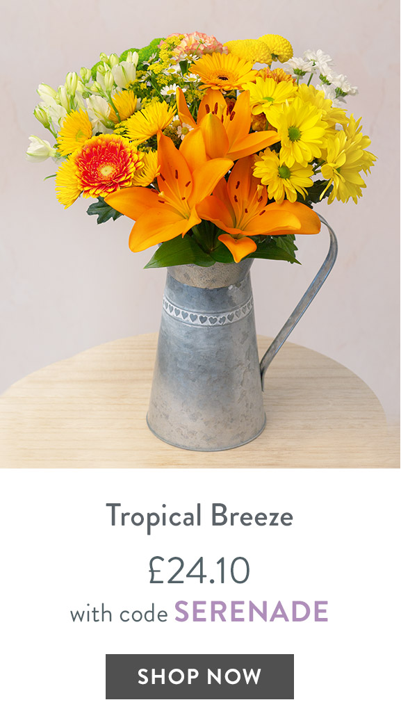 Tropical Breeze - only &pound;24.10 with code