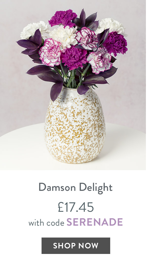 Damson Delight - only &pound;17.45 with code