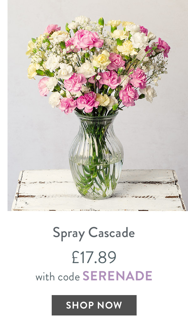 Spray Cascade - only &pound;17.89 with code