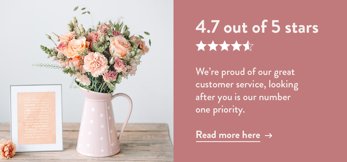 4.7 out of 5 stars