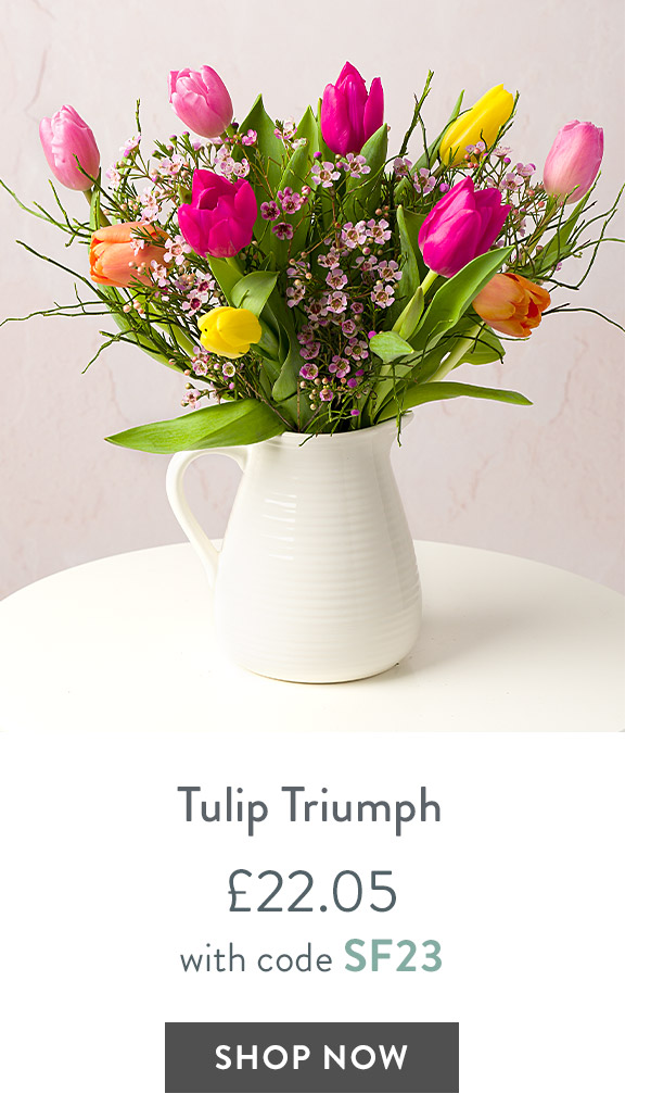 Tulip Triumph - only &pound;22.05 with code