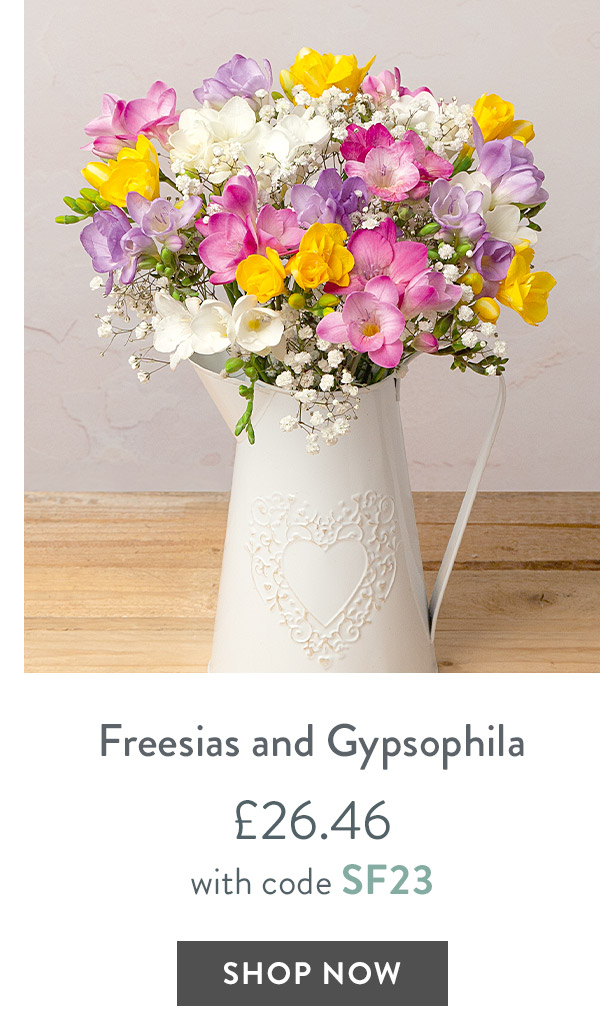 Freesias and Gypsophila - only &pound;26.46 with code
