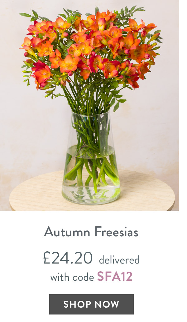 Autumn Freesias - only &pound;24.20 delivered