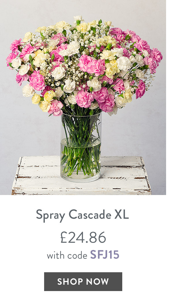Spray Cascade XL - only &pound;24.86 with code