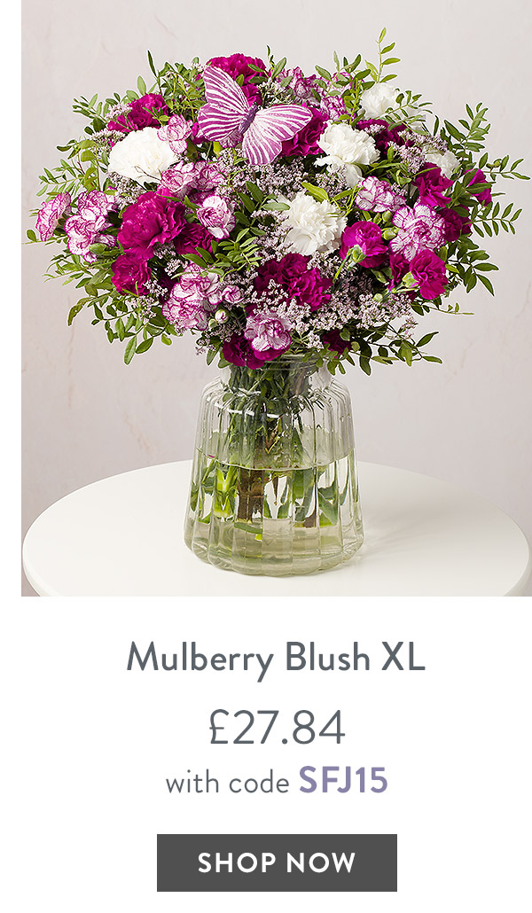 Mulberry Blush XL - only &pound;27.84 with code