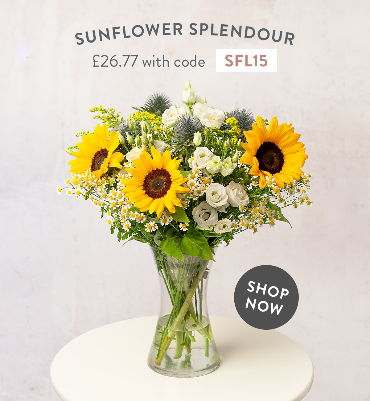Sunflower Splendour - only &pound;26.77 with code