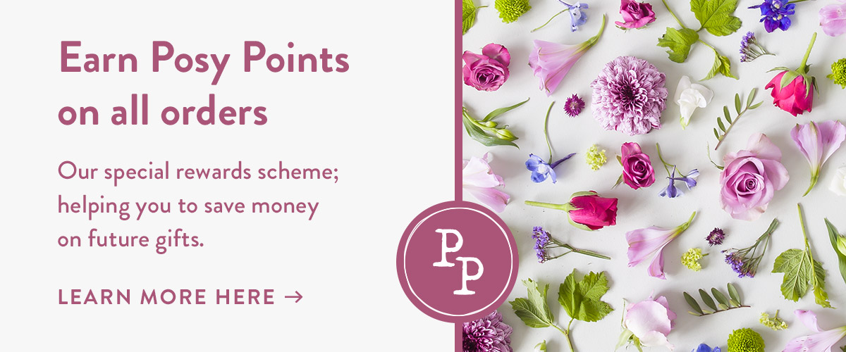Earn Posy points on all orders