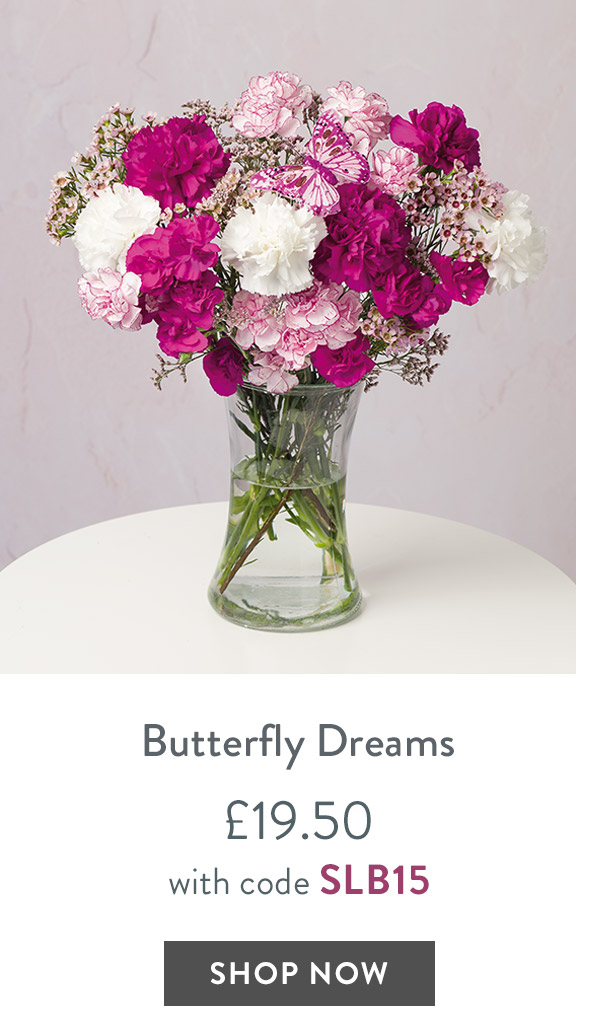Butterfly Dreams - only &pound;20.82 with code