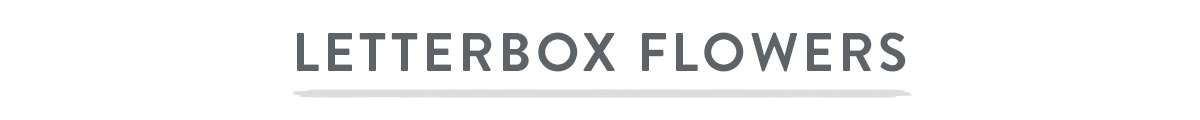 Letterbox Flower Gifts