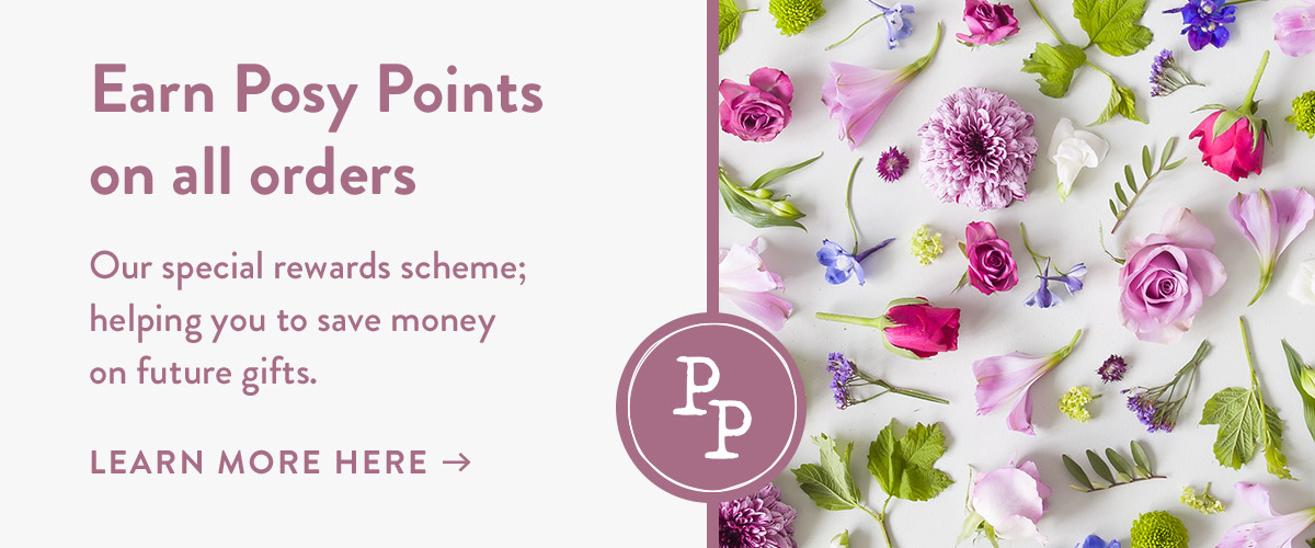 Earn Posy Points on all orders